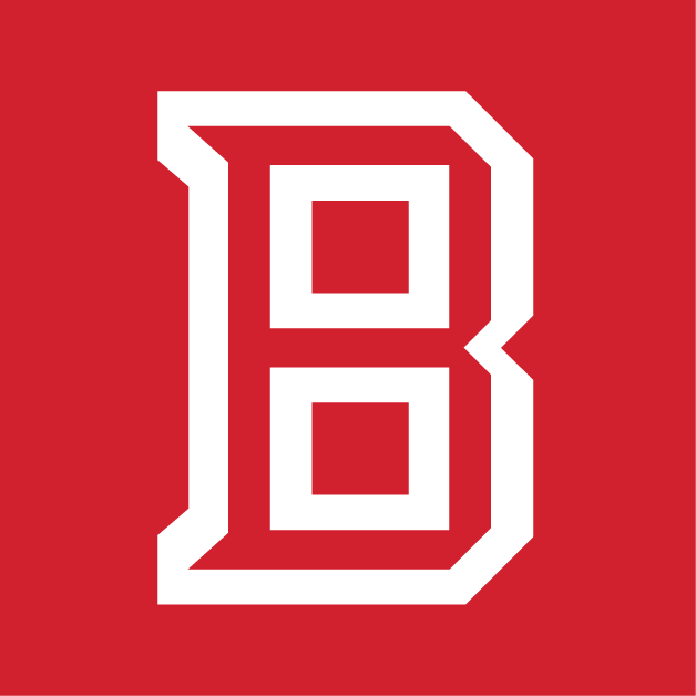 Bradley Braves 2012-Pres Secondary Logo v4 DIY iron on transfer (heat transfer)